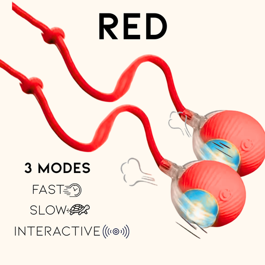 Pounce & Play – Twin Set