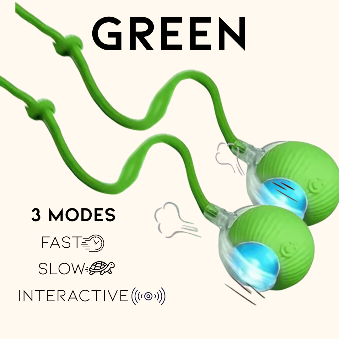 Pounce & Play – Twin Set