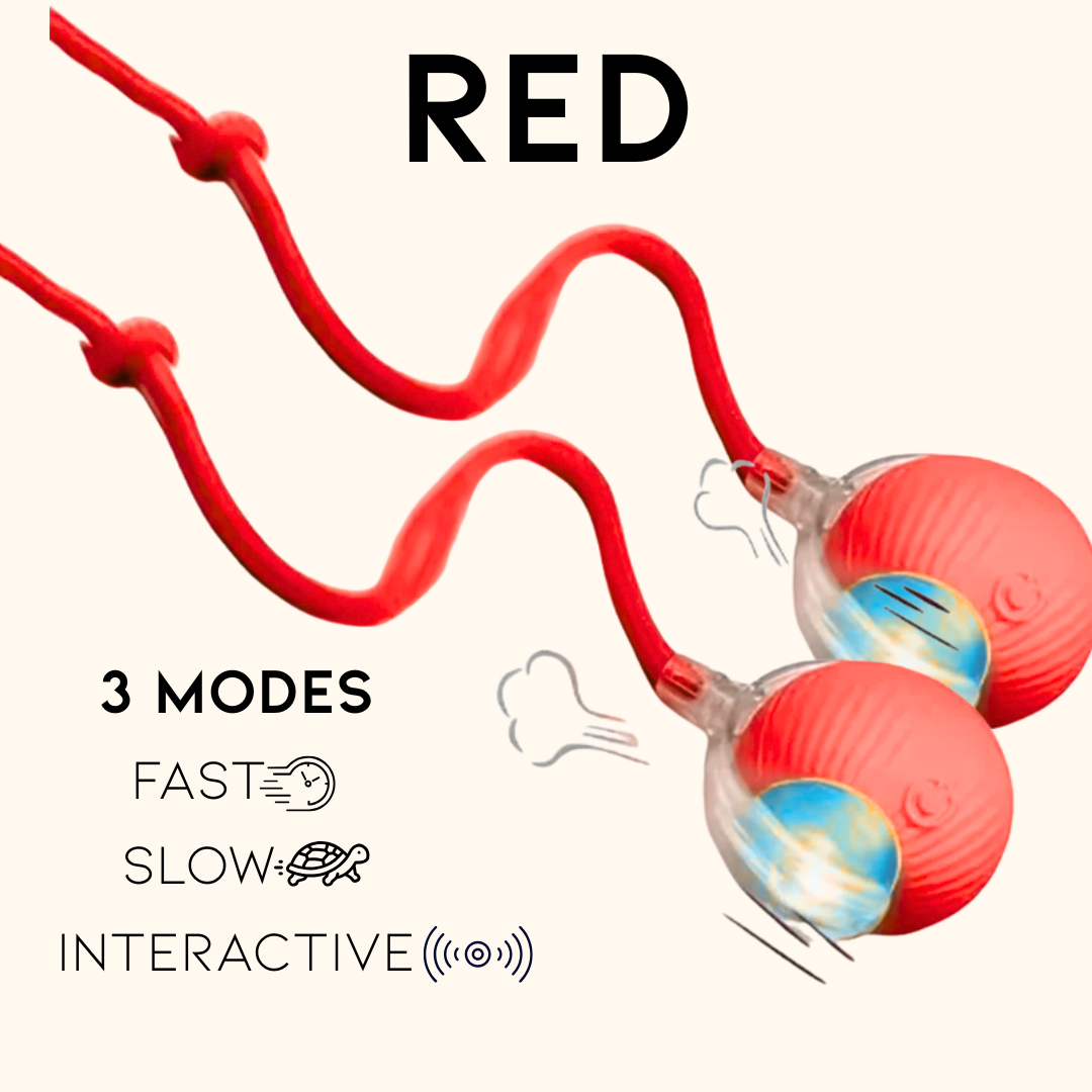 Pounce & Play – Twin Set