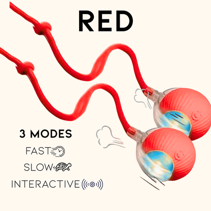 Pounce & Play – Twin Set