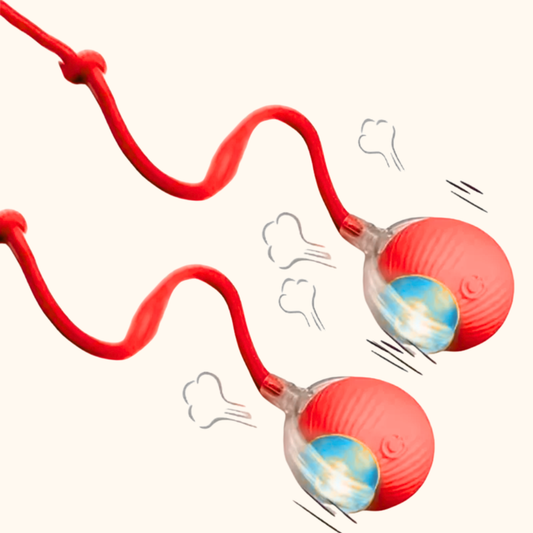 Pounce & Play – Twin Set